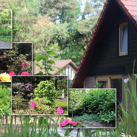 Vakantiepark Zevenbergen Heesch エクステリア 写真